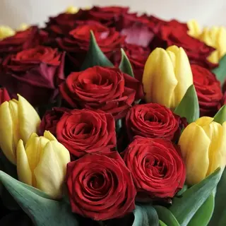 rosso e giallo