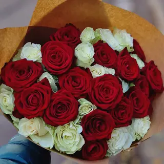 Rosso e bianco 