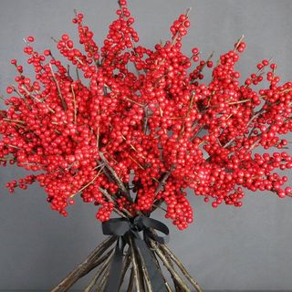 Ilex rosso