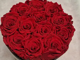 rose eterne 12