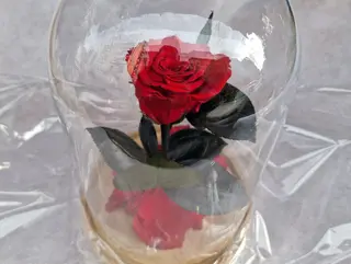 Rosa eterna in cupola di vetro