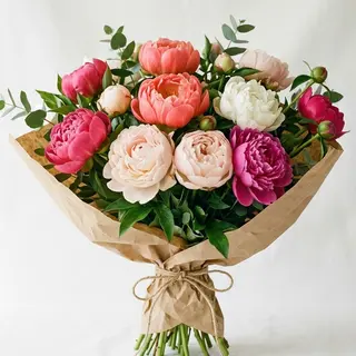 Peonie mix Wow