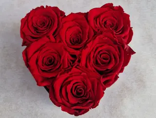 Rose stablizzate a cuore