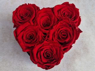 Rose stablizzate a cuore