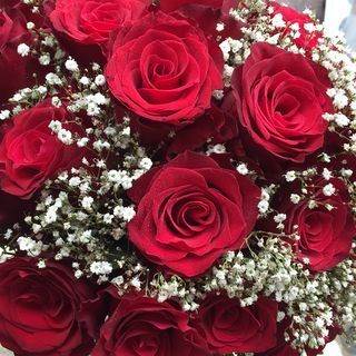 Mazzo di 6 rose rosse