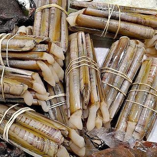 Cannelli Italia 1 kg