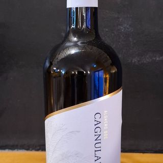 Vino cagnulari