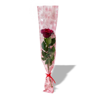 Rosa Rossa Singola
