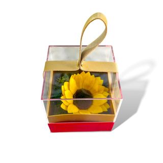 Cofanetto con Girasole Stabilizzato