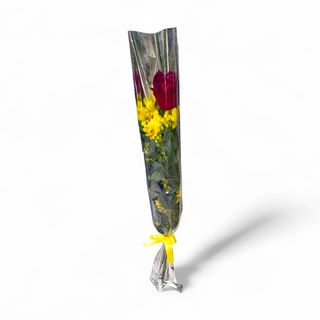 Una Rosa Rossa con Mimosa