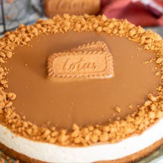 Cheesecake semifredda biscoff lotus(650 g)