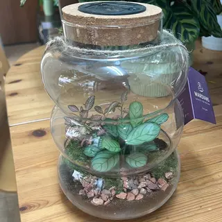 Terrarium con luce e pannello solare