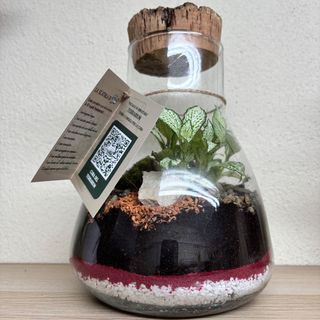 Terrarium Madrid