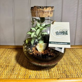 Terrarium fantasia