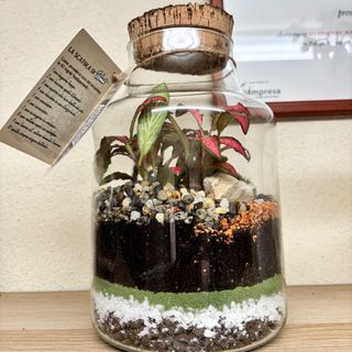 Terrarium francoforte