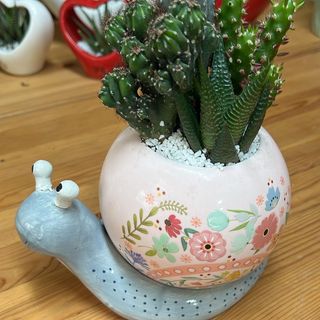 Lumaca grande ceramica con piante grasse