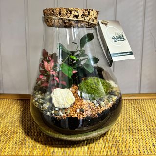 Terrarium passione