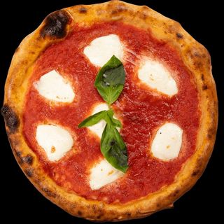 La regina Margherita grande