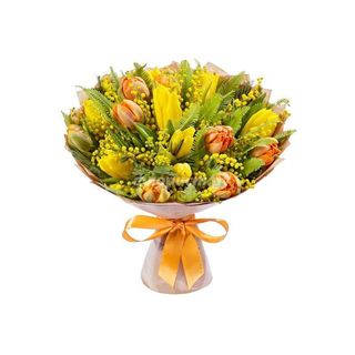 TULIPANI COLORATI E MIMOSA