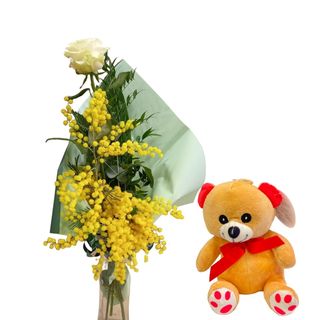 BRIGITTE BARDOT CON MIMOSA E OESETTO