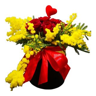 FESTA DELLA DONNA BOX