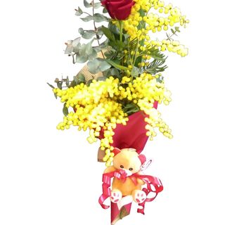 MARYLIN MONROEE MIMOSA +ORSACCHIOTTO