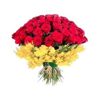 100 ROSE ROSSE E MIMOSA