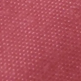 Kaiser