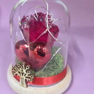 Piccola rosa