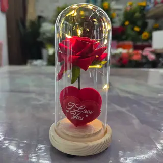I love you