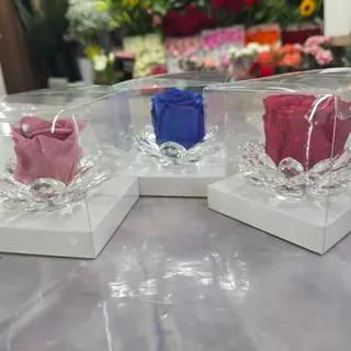 Amore prezioso