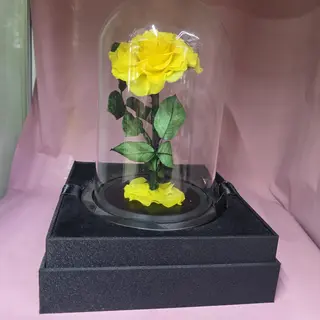 La rosa dell' amore