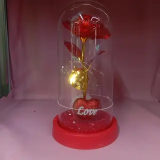 Dream Love 2