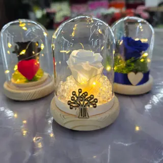 Mini la bella e la bestia con luce