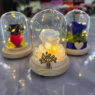 Mini la bella e la bestia con luce