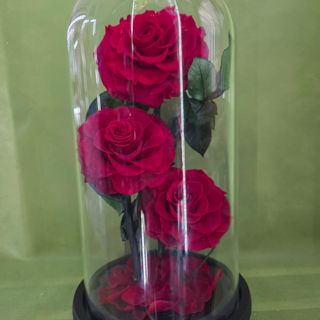 La bella e la bestia tripla