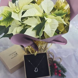 Stella bianca e collana