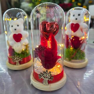 Mini rosa il piccolo principe