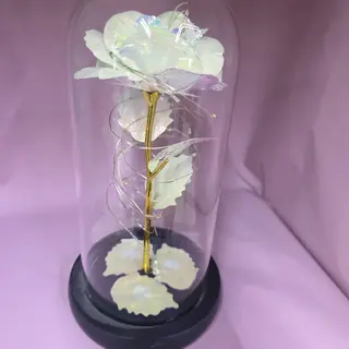 Dream Love