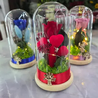 La rosa del piccolo principe
