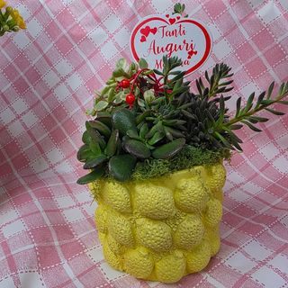 Oasi della Mamma