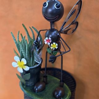 Lilly la farfalla e aloe