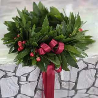 Bacche rosse