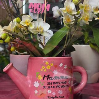 Orchidea con Innaffiatore ( TERMINATA)