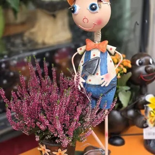 Gino il contadino
