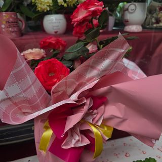 Pianta di rose grande