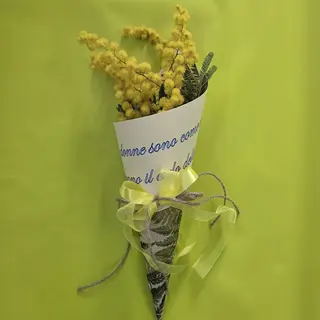 Mini cono