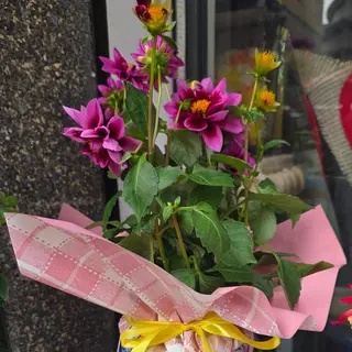 Dalia
