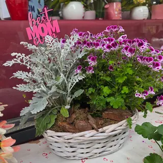 Prato Fiorito della Mamma