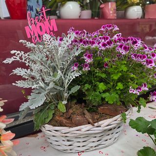 Prato Fiorito della Mamma